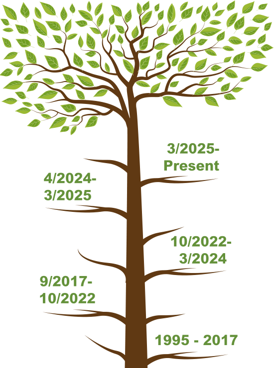 Executive Director Timeline Tree