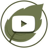 YouTube icon