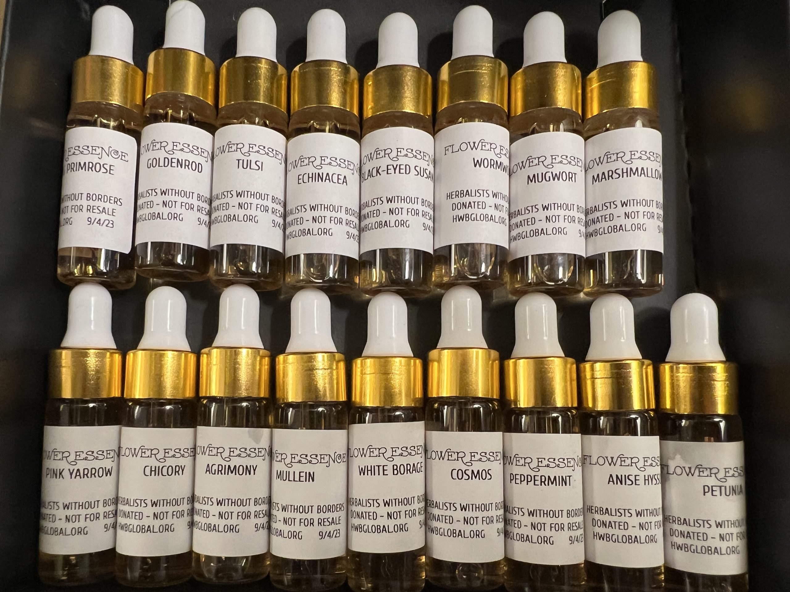 Dropper bottles on Shelf