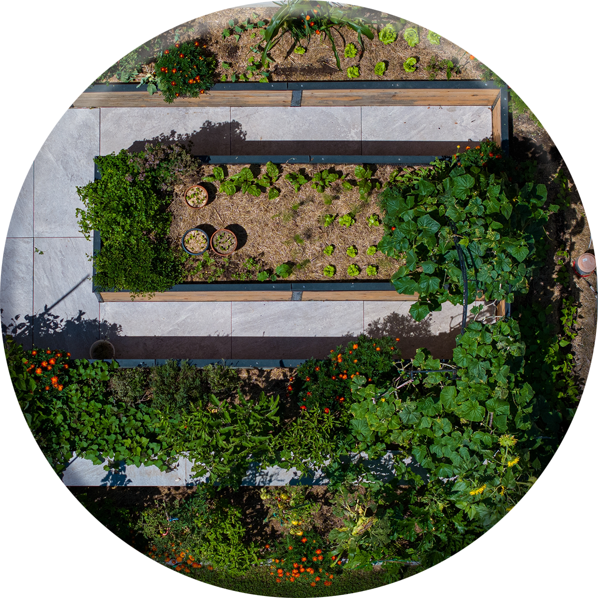 Garden Design