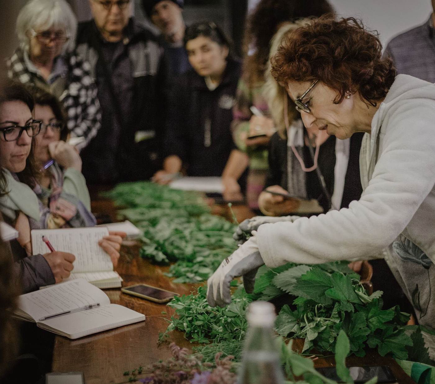 Herb class in Italy