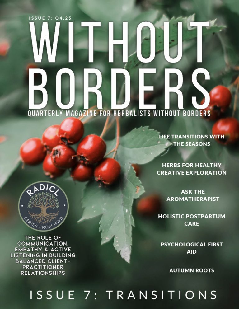 Without Borders, Issue 7 cover
