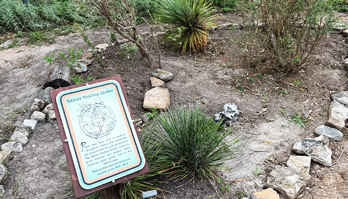 Nature Healing Garden