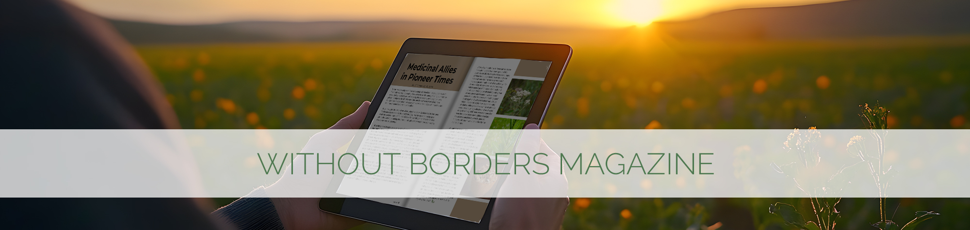 Man reading magazine on iPad in garden