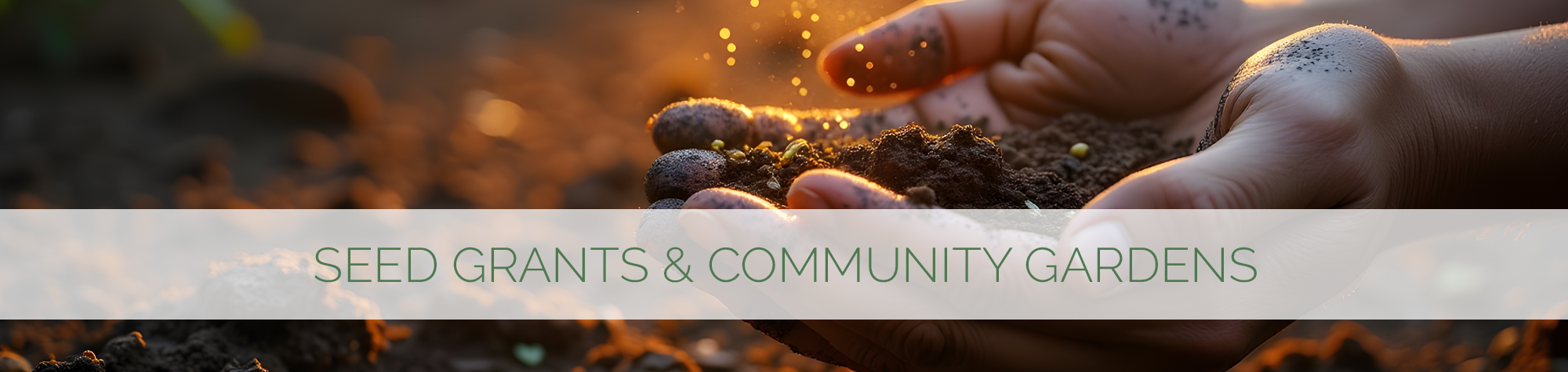 Seed Grants & Community Gardens