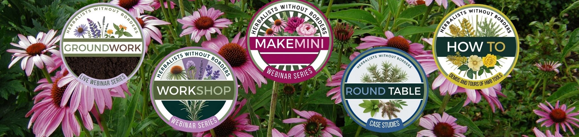 Webinar icon logos in a banner