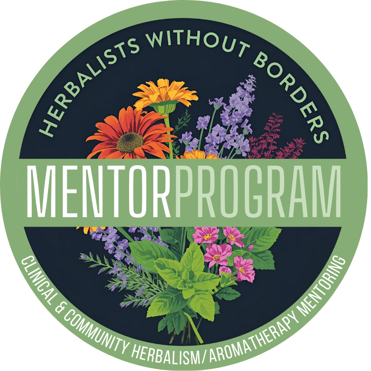 MENTOR PROGRAM icon