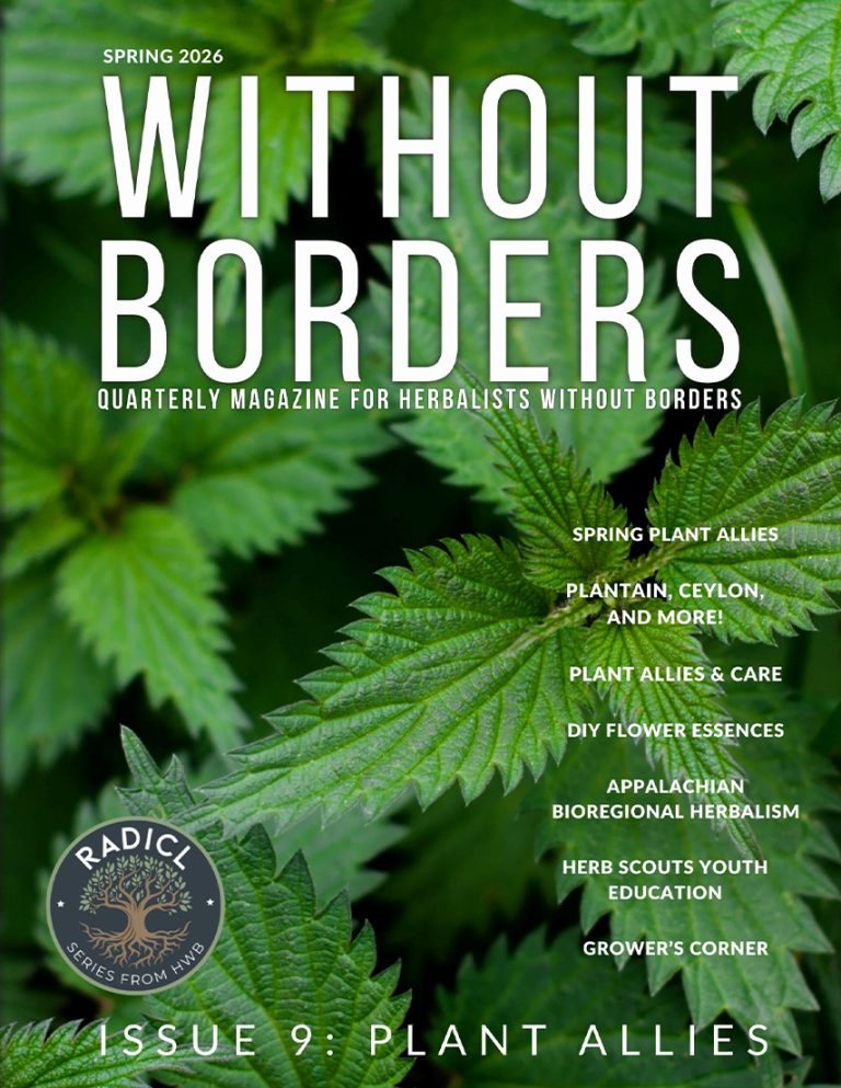 Without Borders Magazine Cover - Issue 9, Spring 2026