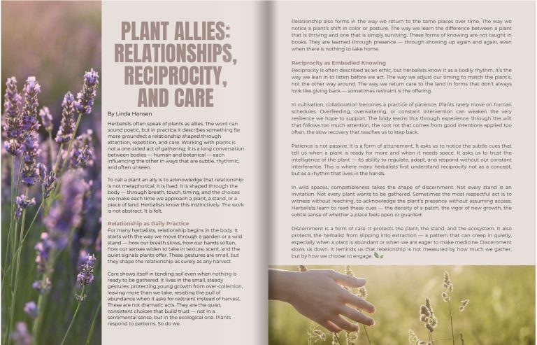 Issue 9, article spread 1