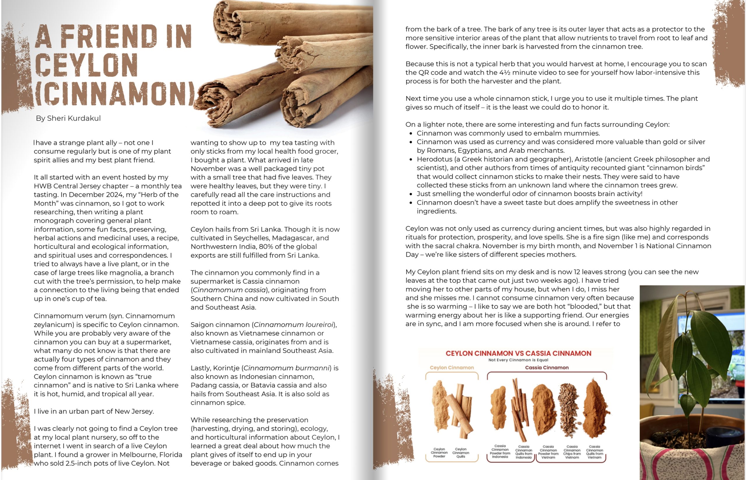 Issue 9, article spread 2