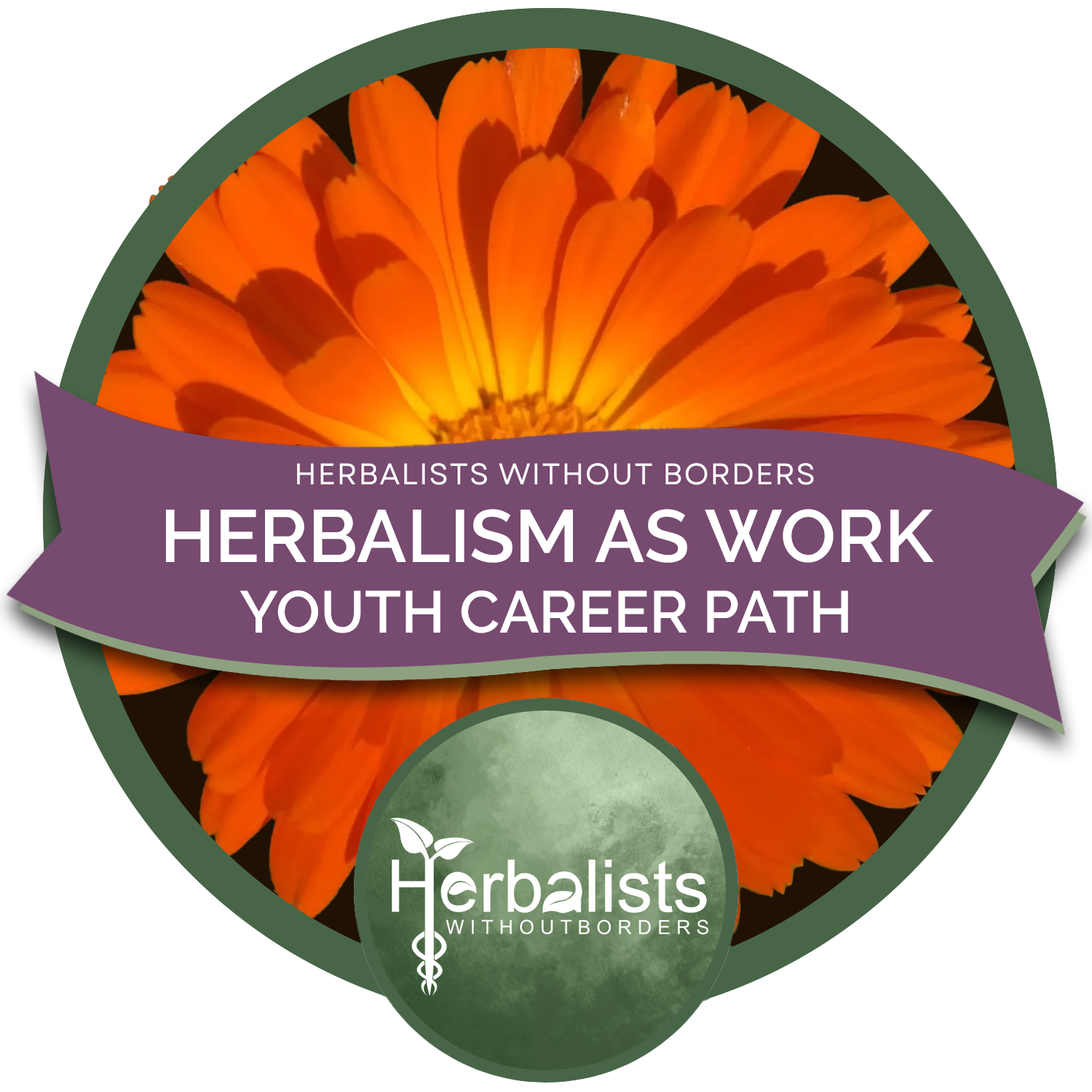 HERBALISM AS WORK LOGO