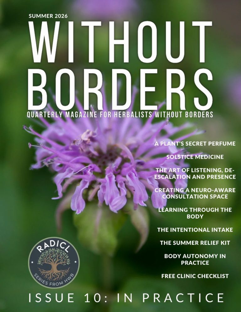Without Borders - Issue 10 - In Practice Cover