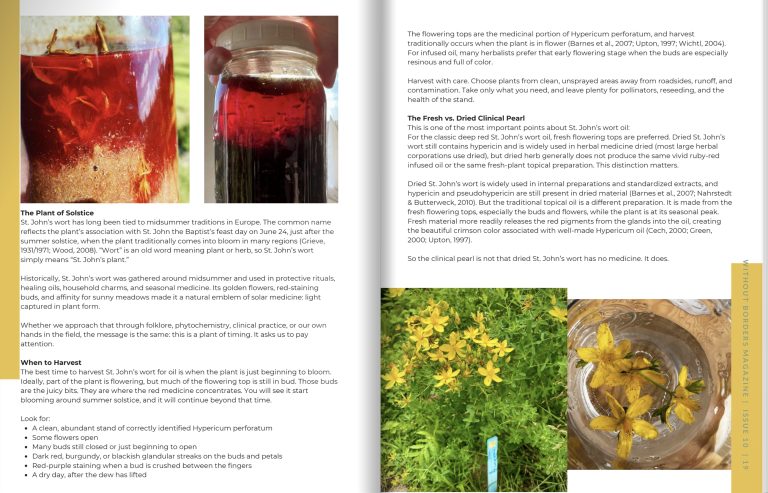 Without Borders, Issue 10 spread