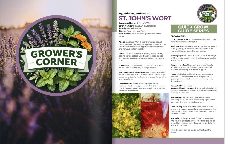 Without Borders, Issue 10 spread