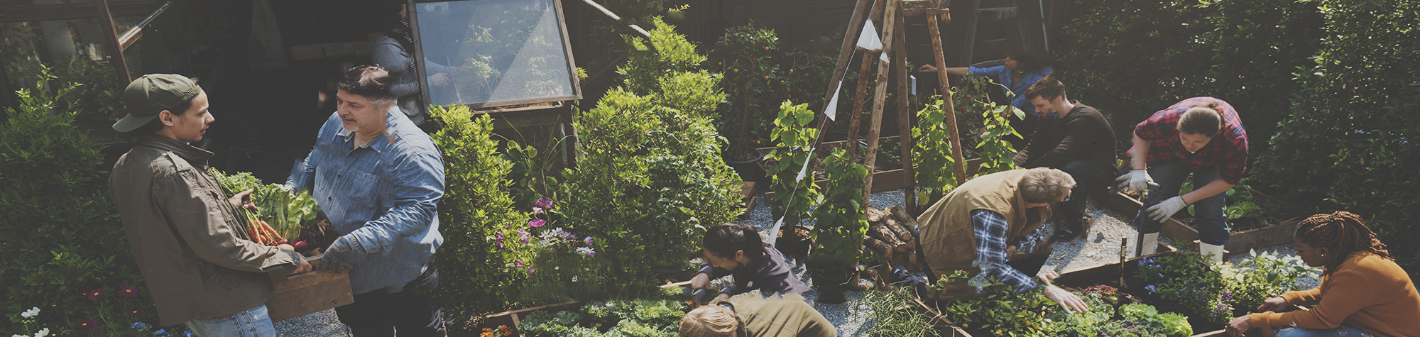 Gathering of herbalists in the garden