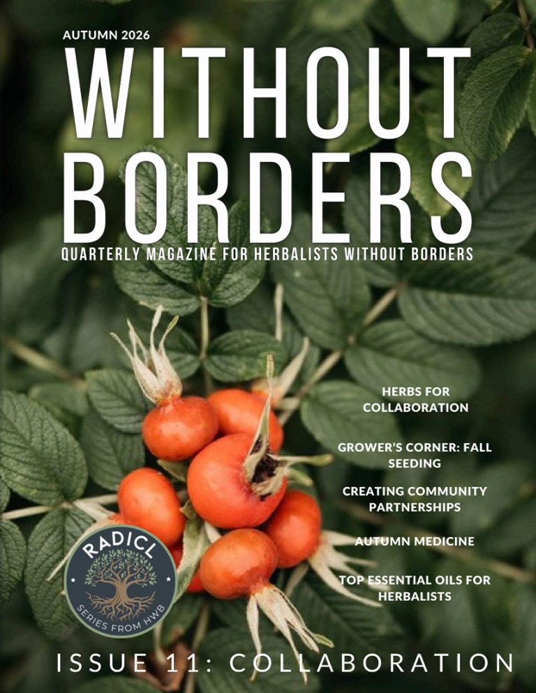 Without Borders magazine cover, Issue 11 - Collaboration