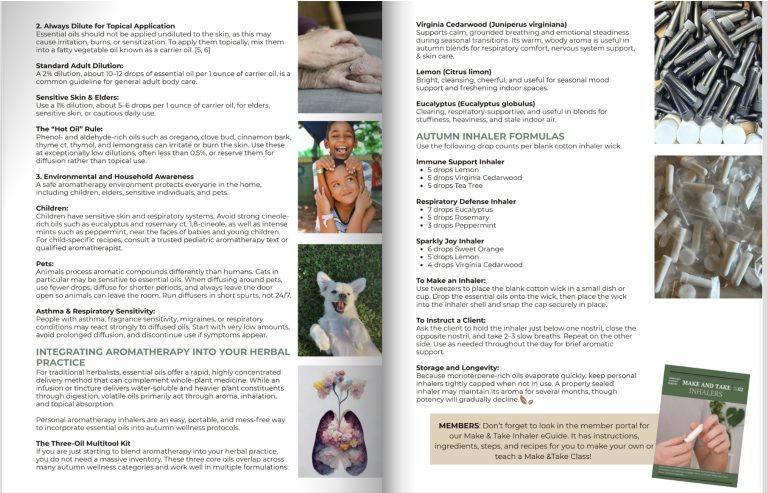 Issue 11-Spread 3