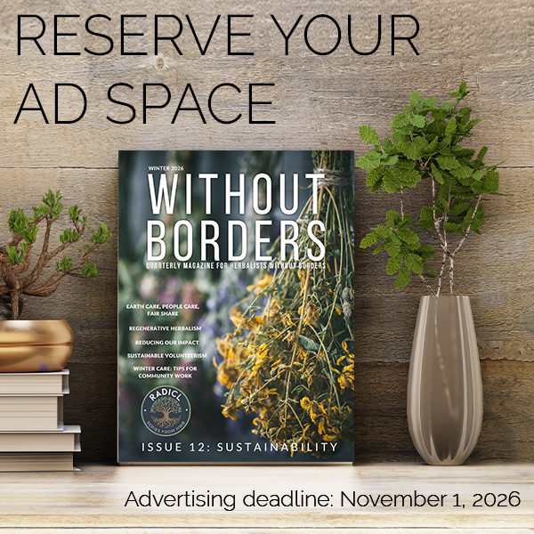 Issue 12-Call for advertisers